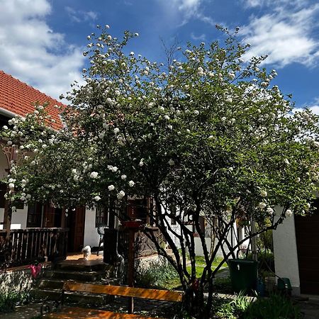 Magnolia Garden Apartment Miskolc Bagian luar foto