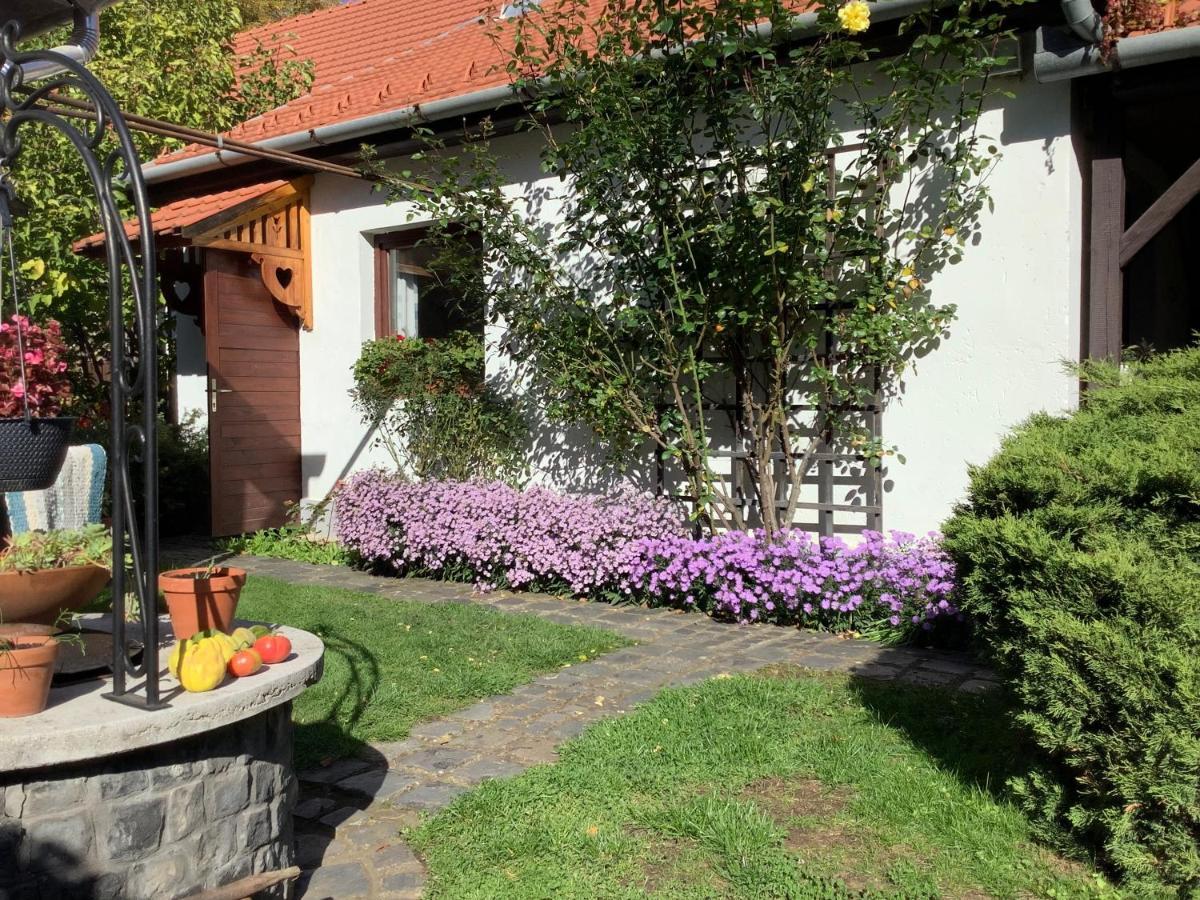 Magnolia Garden Apartment Miskolc Bagian luar foto