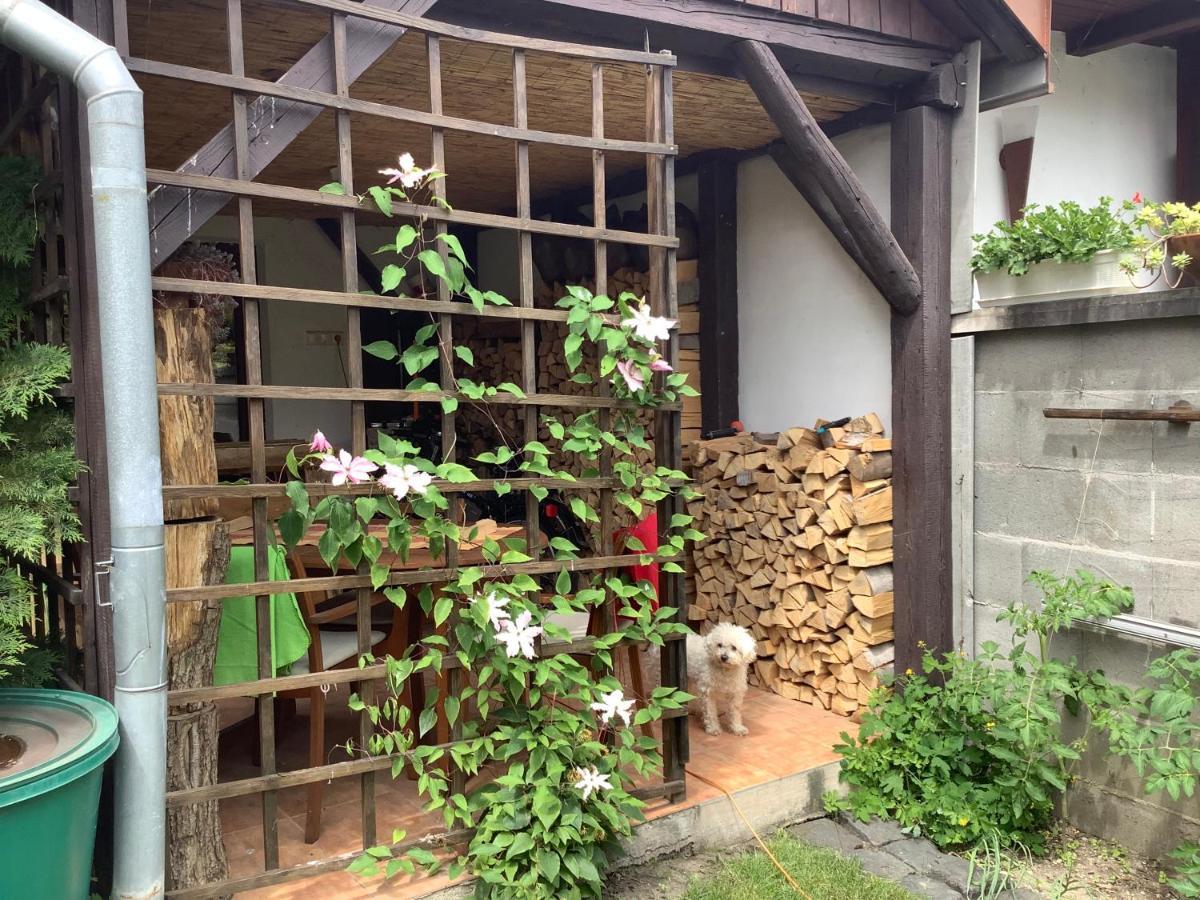 Magnolia Garden Apartment Miskolc Bagian luar foto