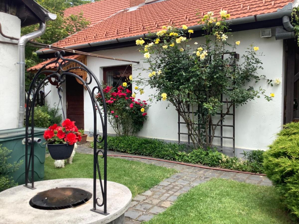 Magnolia Garden Apartment Miskolc Bagian luar foto