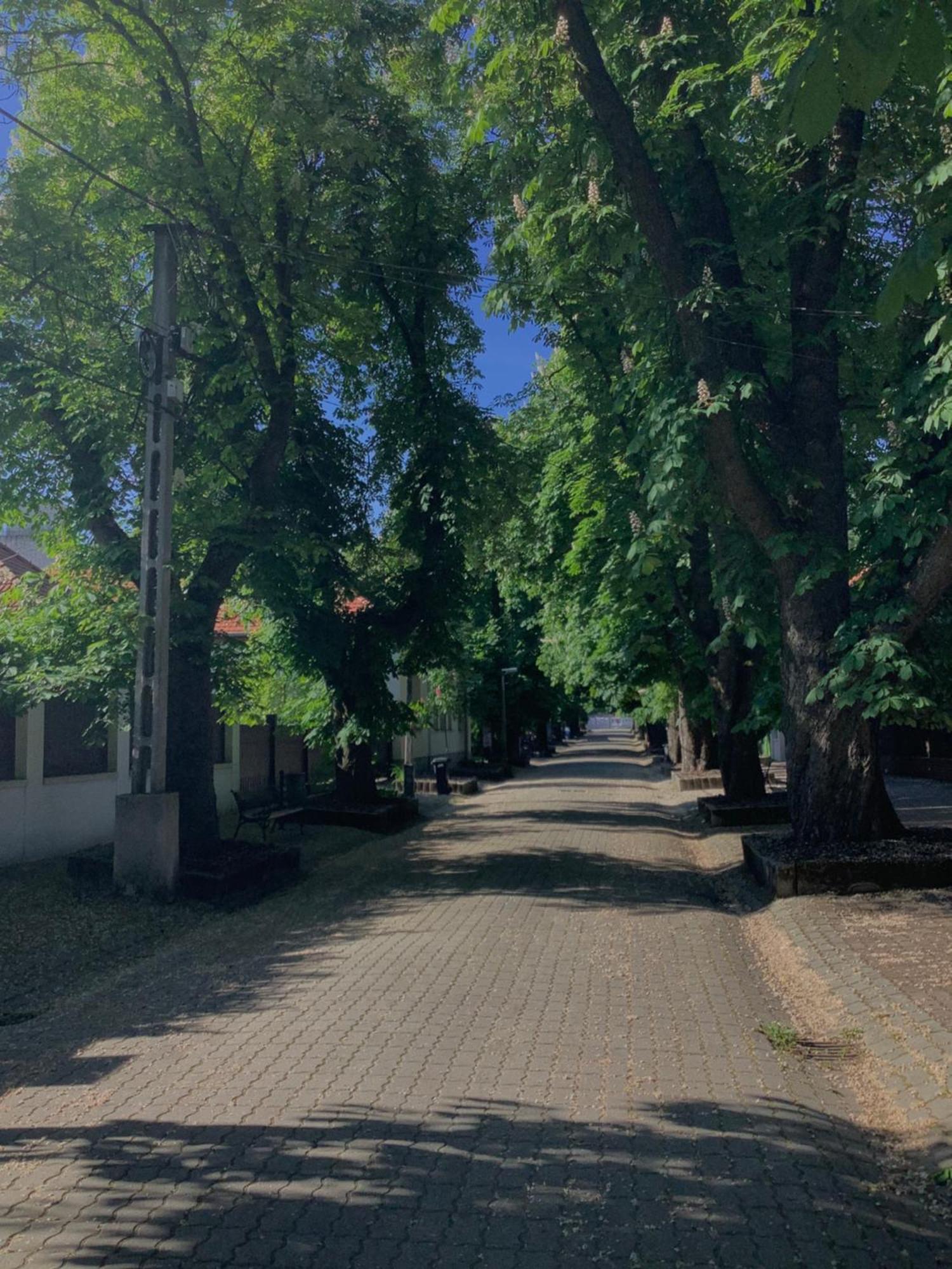 Magnolia Garden Apartment Miskolc Bagian luar foto