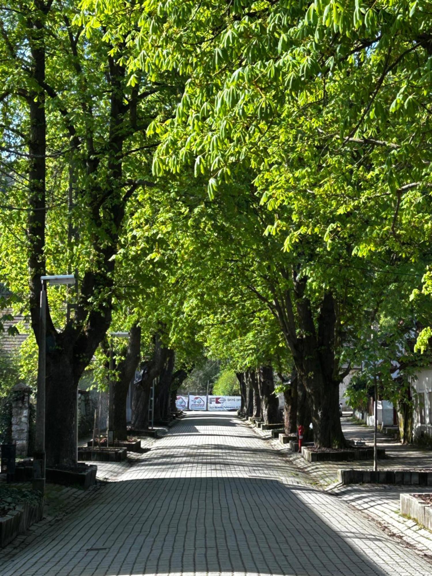 Magnolia Garden Apartment Miskolc Bagian luar foto